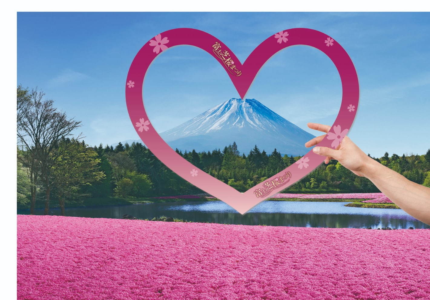 「富士芝桜まつり」約52万株の芝桜が彩る一面ピンクの景色、ご当地B級グルメフェアも｜写真2