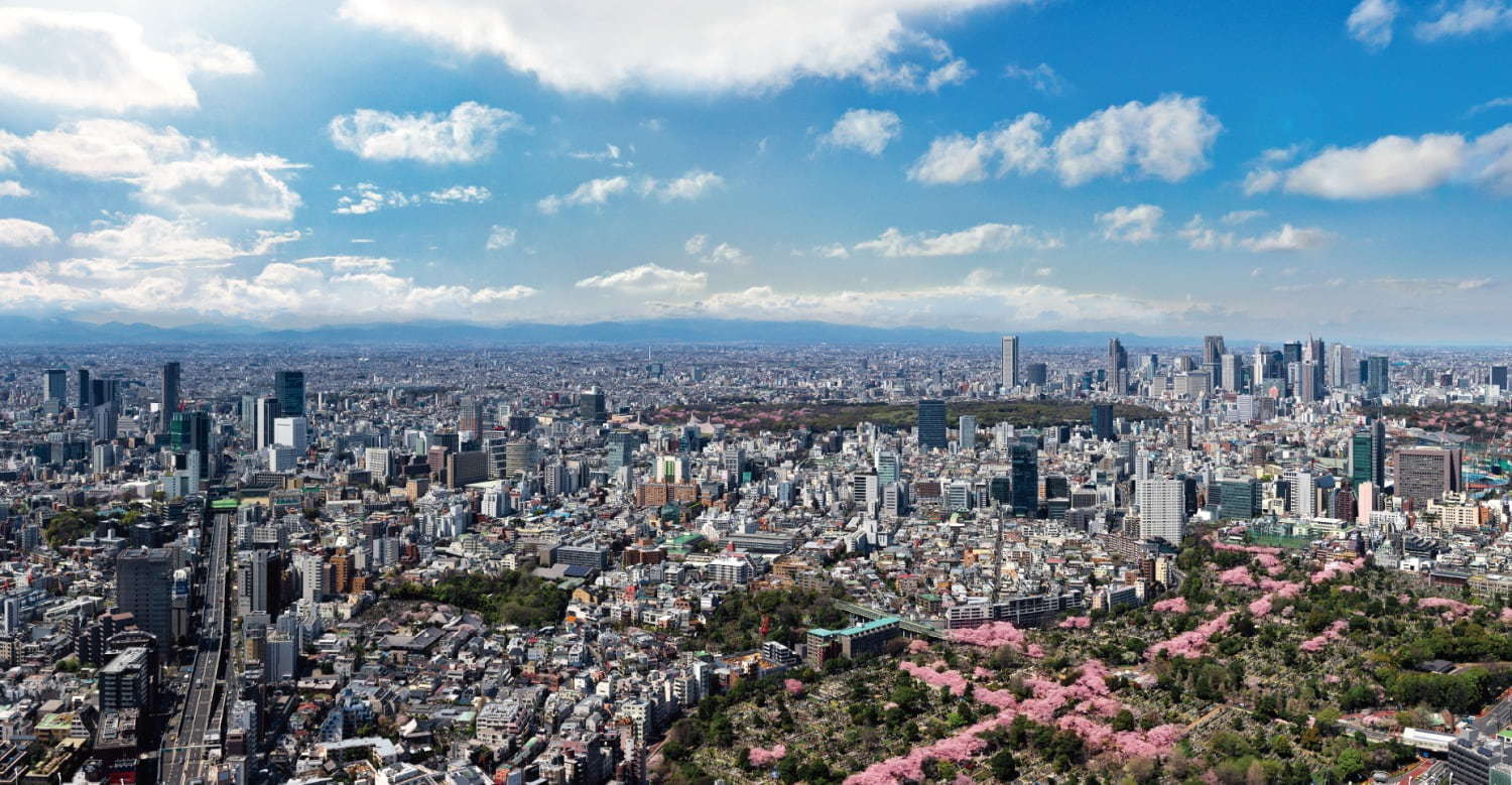 「六本木ヒルズ 春まつり 2019」夜桜ライトアップ＆天空のお花見、グルメ屋台の出店も｜写真4