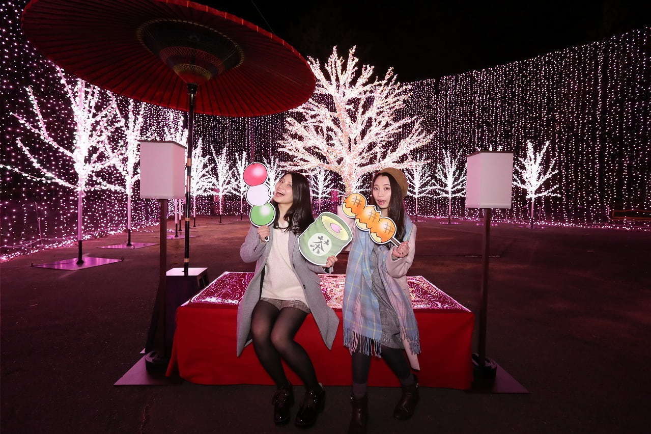 写真5 9 関東最大級2 500本の桜に包まれるお花見イベント さがみ湖桜まつり 夜桜 光の競演も ファッションプレス 写真5 9 関東最大級2 500本の桜に包まれるお花見イベント さがみ湖桜まつり 夜桜 光の競演も ファッションプレス