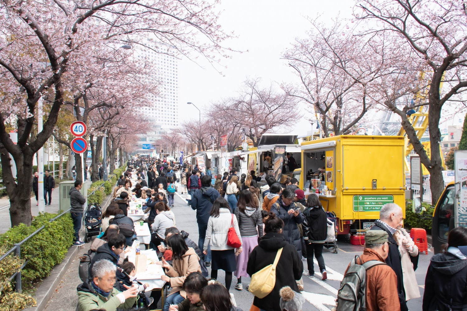 【開催中止】「みなとみらい21 さくらフェスタ2020」103本の桜並木道パレード＆歩行者天国でグルメも｜写真2