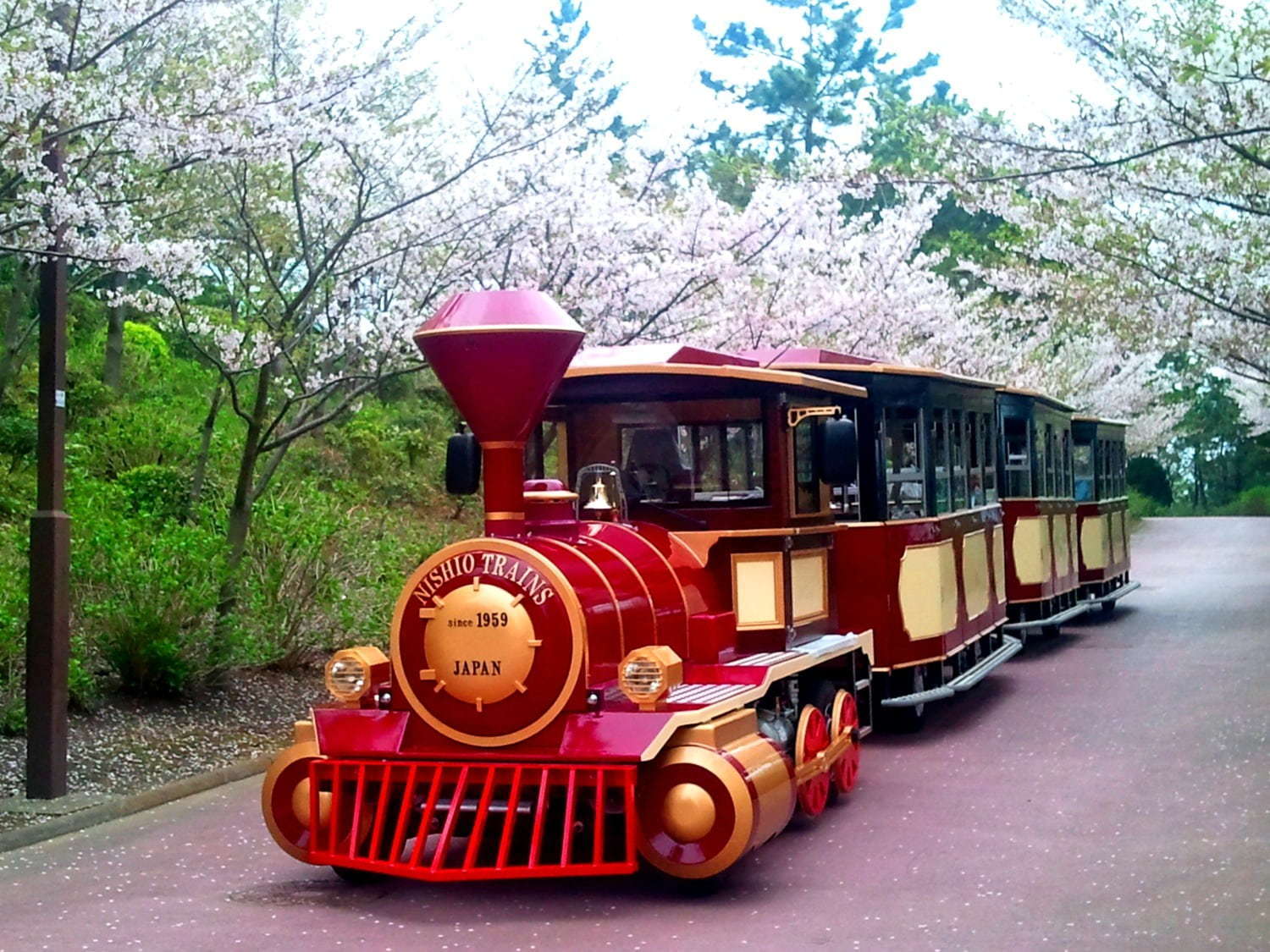 横浜・八景島シーパラダイスの春イベント - イワシの大群が見せる“桜花乱舞”、ペンギンの春散歩も｜写真5