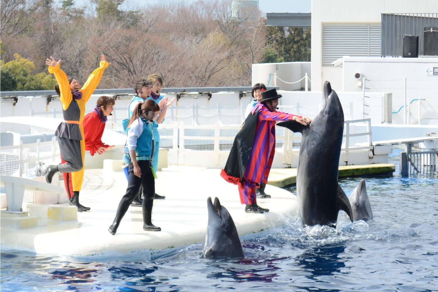 京都水族館のイルカパフォーマンス「ラ・ラ・フィン サーカス」4部作の最終章、エイベックスが制作｜写真1