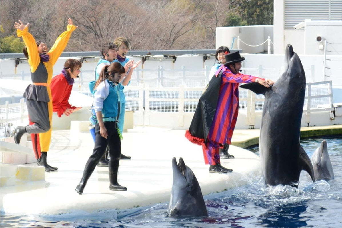 京都水族館「ラ・ラ・フィン サーカス」