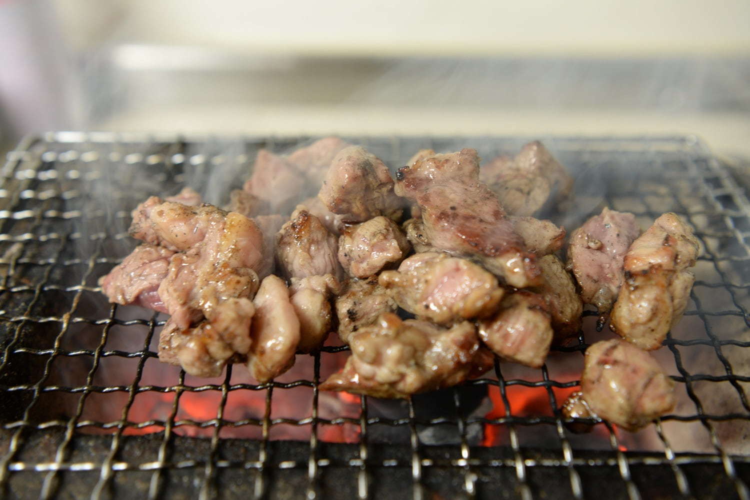 ＜東京＞日比谷公園「バイキングパーク2019」“定額制”でグルメ&スイーツ食べつくし