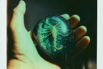 「私の家の死を彷徨う旅」