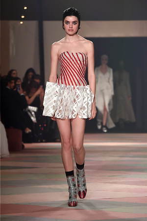 ディオール オートクチュール(DIOR Haute Couture ) 2019年春夏ウィメンズコレクション  - 写真15