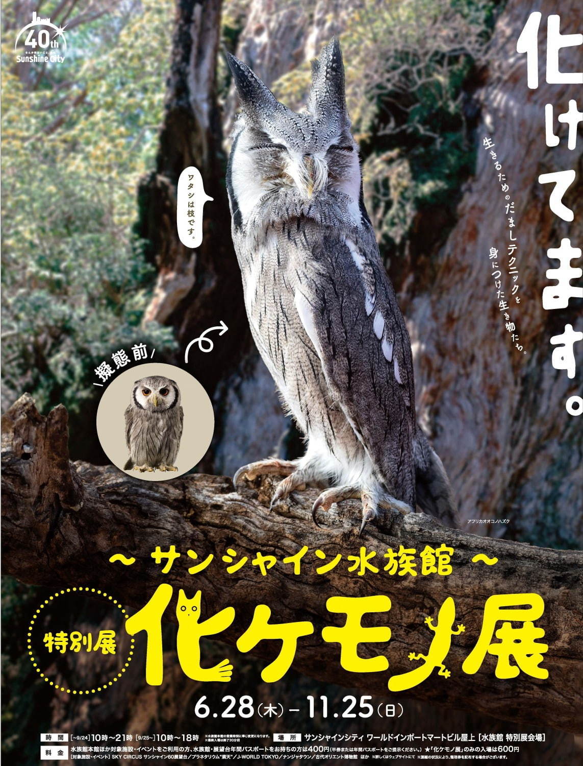 もうどく展から生まれた書籍『もうどく水族館』毒をもった危険な動物たちを解説｜写真2