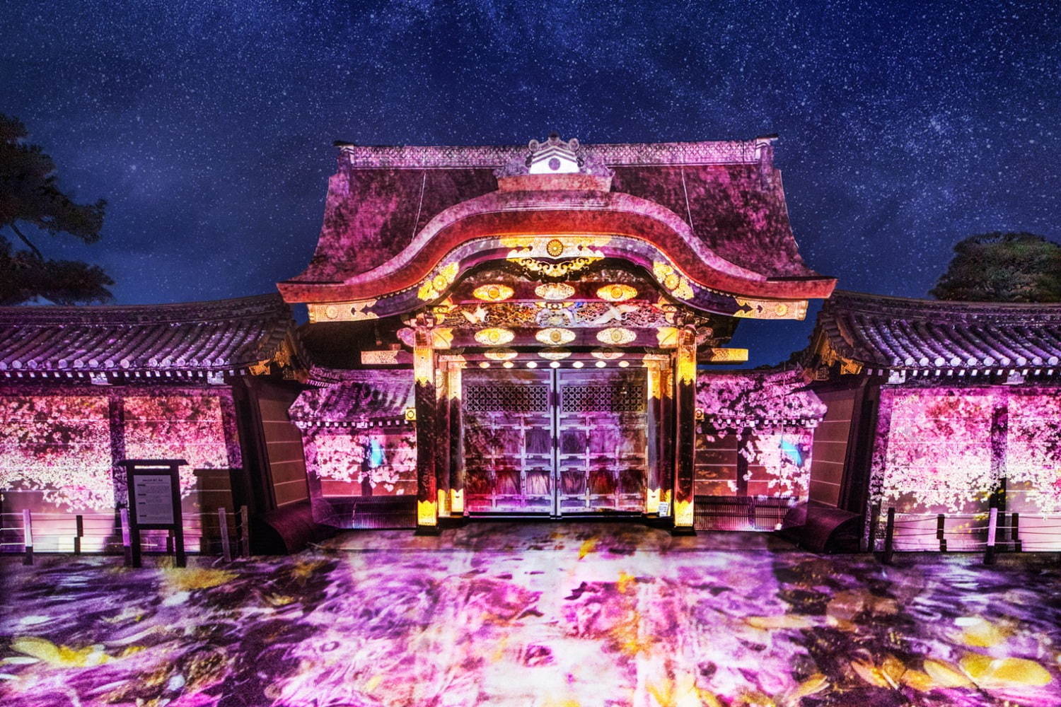 京都「二条城桜まつり2019」ネイキッドによる桜のプロジェクションマッピング、過去最大の演出で｜写真1