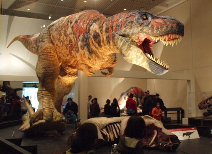 「大恐竜展」大阪・なんばで、実物大"ティラノサウルス"ロボット＆触れる巨大ウンチ化石｜写真3