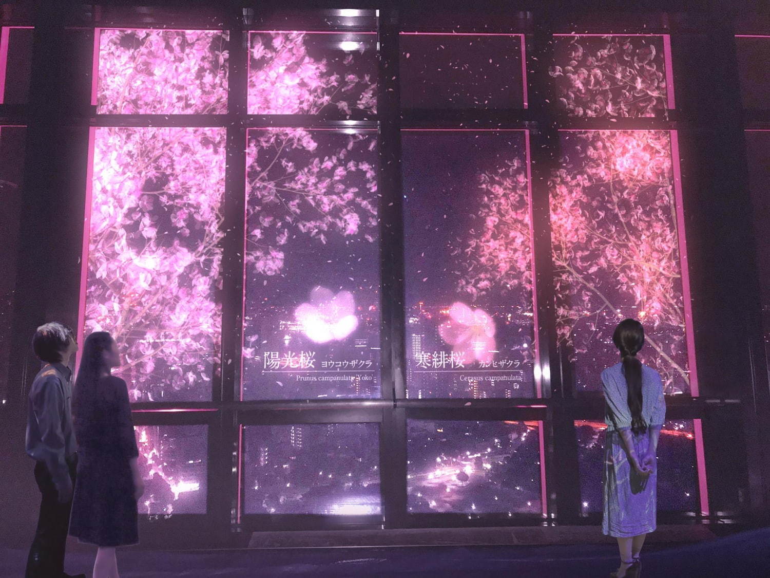 東京タワーで夜桜体験、手をかざすと“桜が咲く”プロジェクションマッピングをネイキッドとコラボで｜写真1