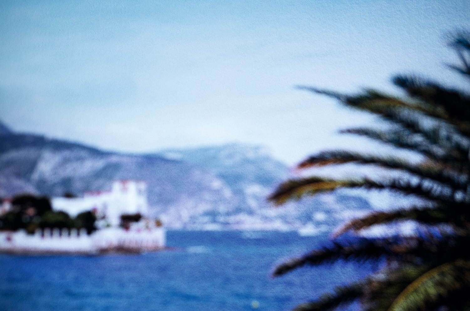 シャネルの新フレグランス、ガブリエルが愛した“地中海のリゾート地”へと誘うフローラルノート|写真3