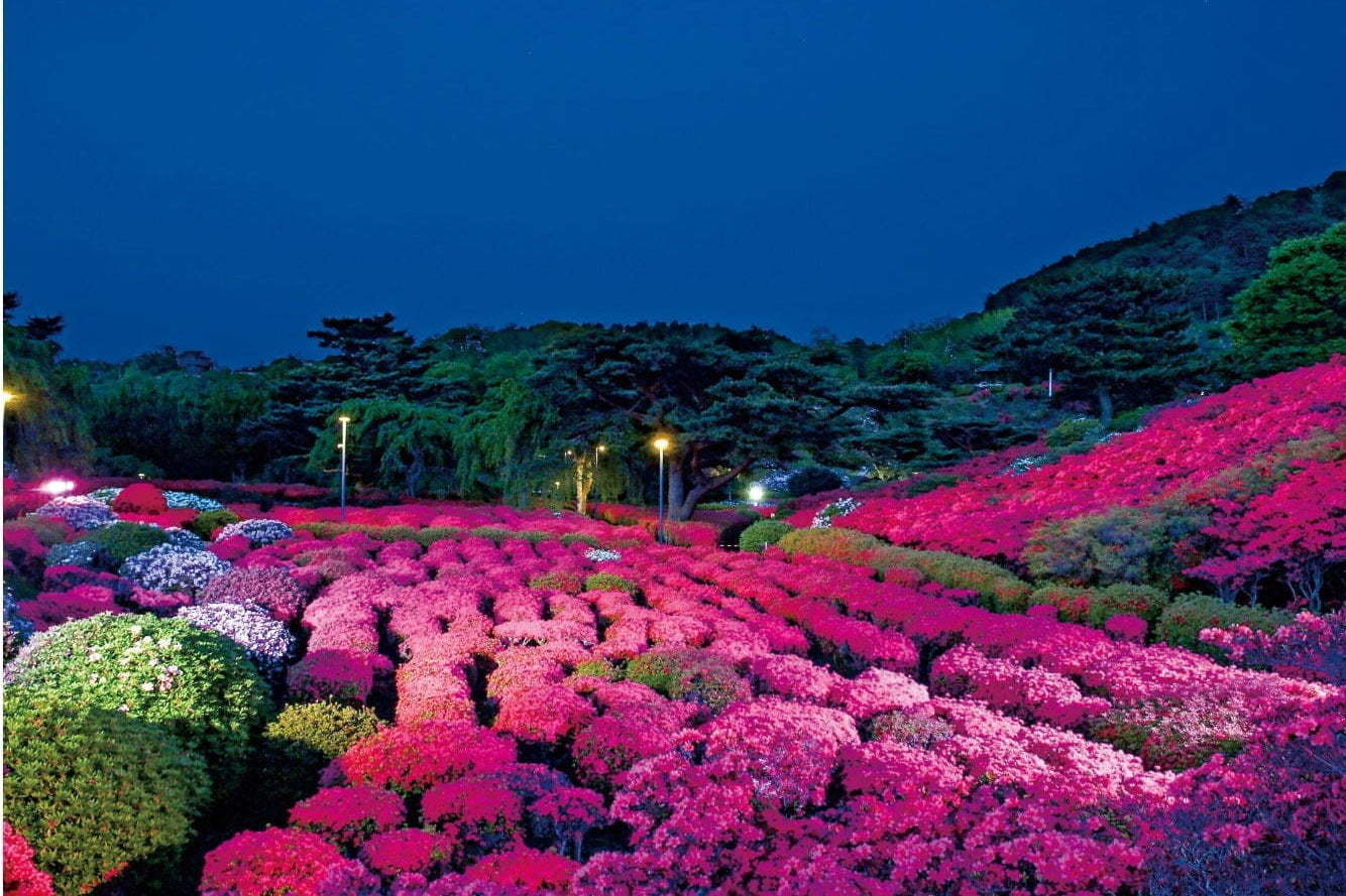 「第48回小室山公園つつじ祭り」