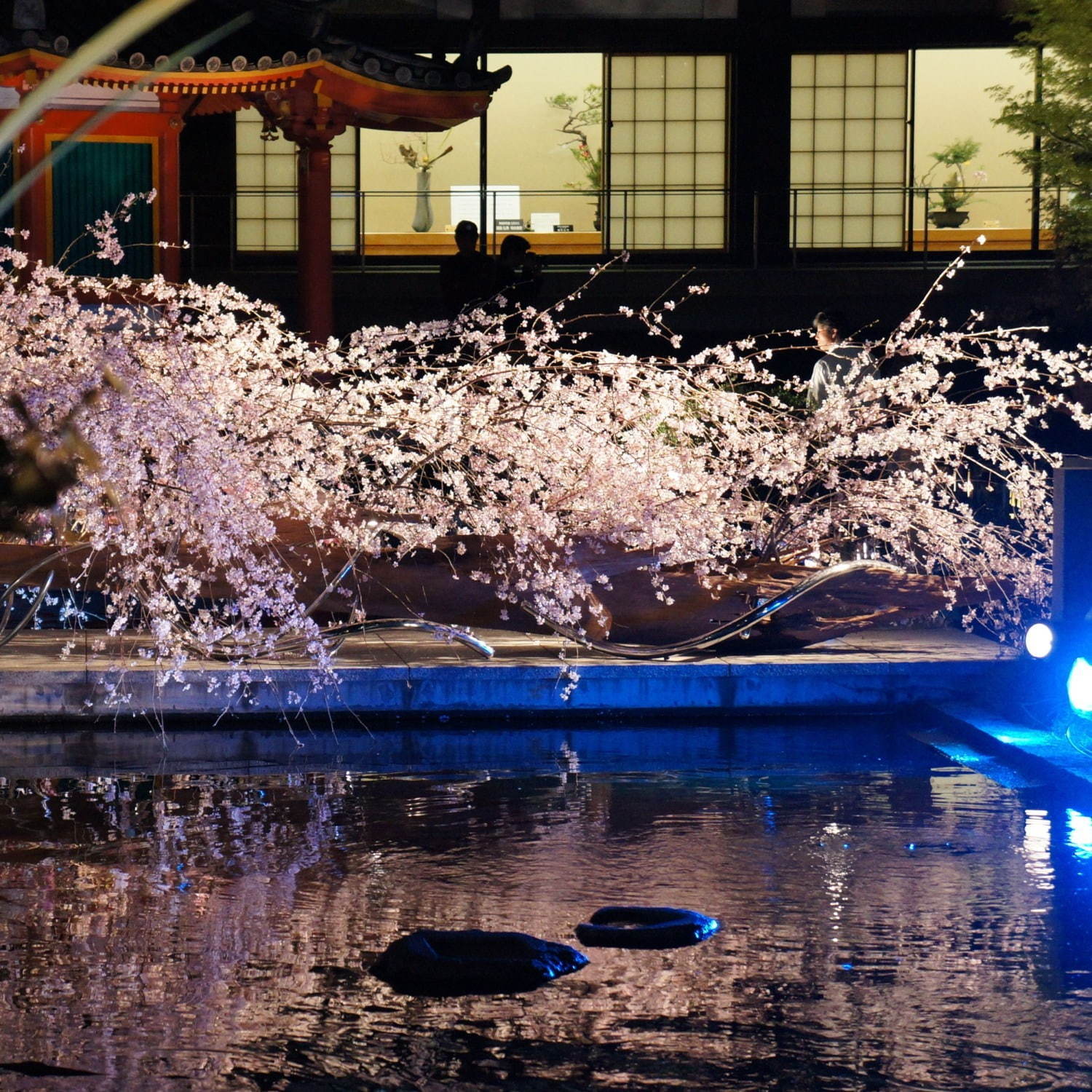 「六角堂 夜の特別拝観」頂法寺境内をライトアップ、新元号や東京五輪など祝う大作生け花も展示｜写真2