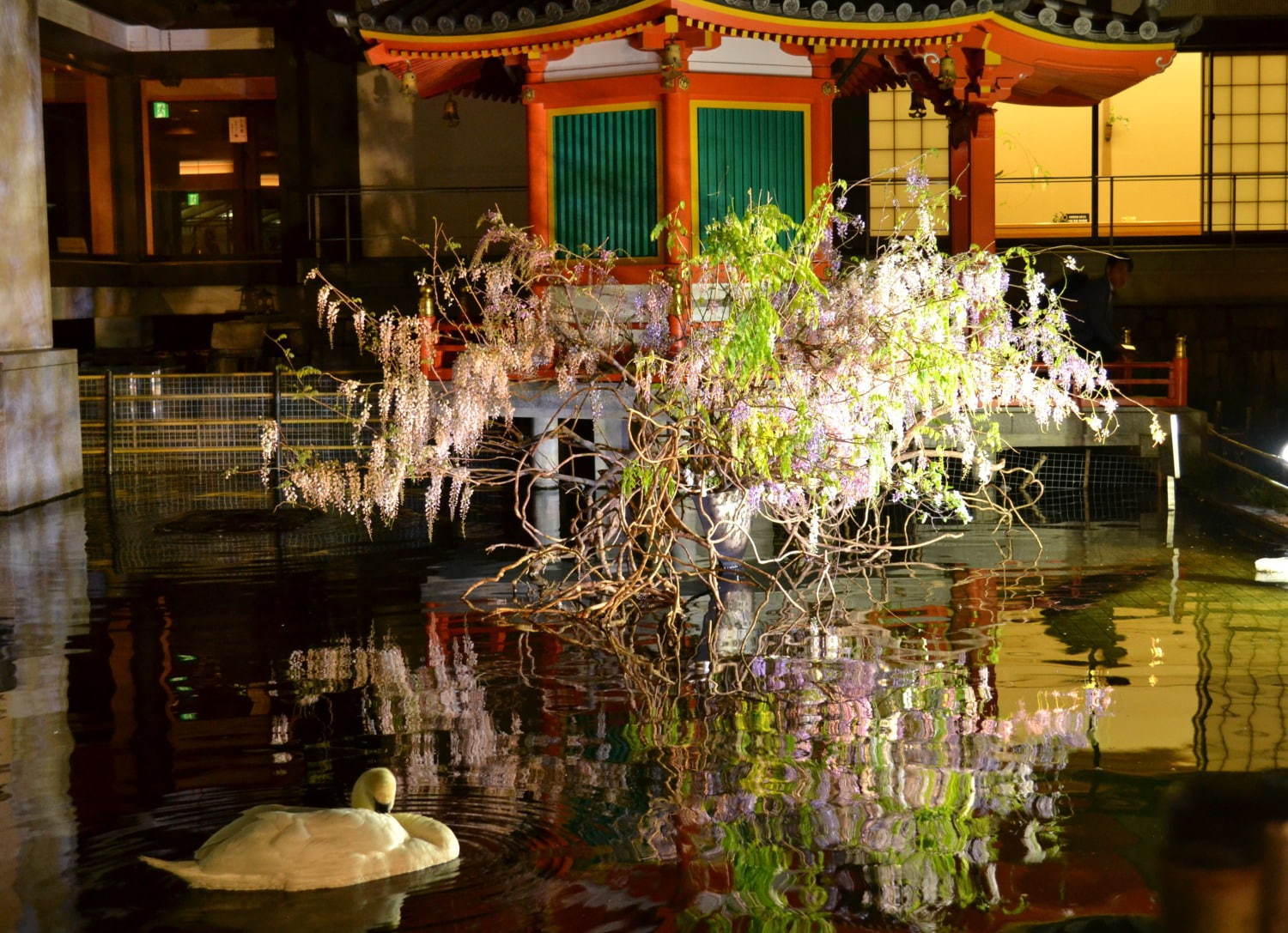 「六角堂 夜の特別拝観」頂法寺境内をライトアップ、新元号や東京五輪など祝う大作生け花も展示｜写真1