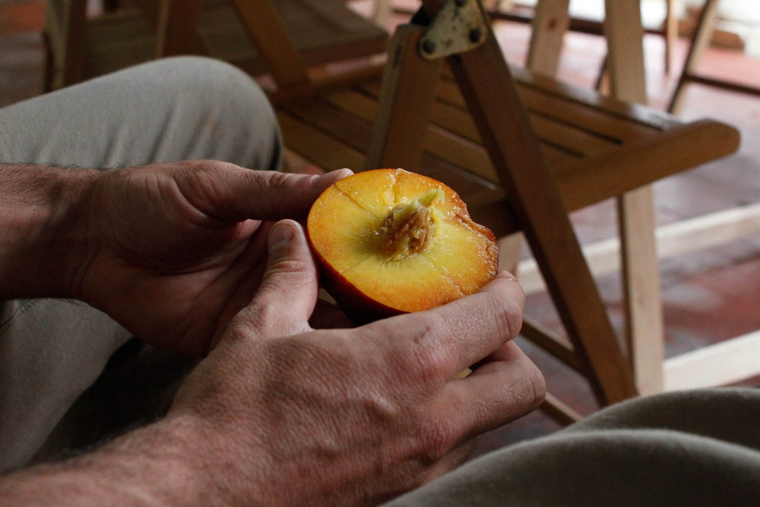 「荒木悠展:LE SOUVENIRS DU JAPON ニッポンノミヤゲ」銀座・資生堂ギャラリーで | 写真