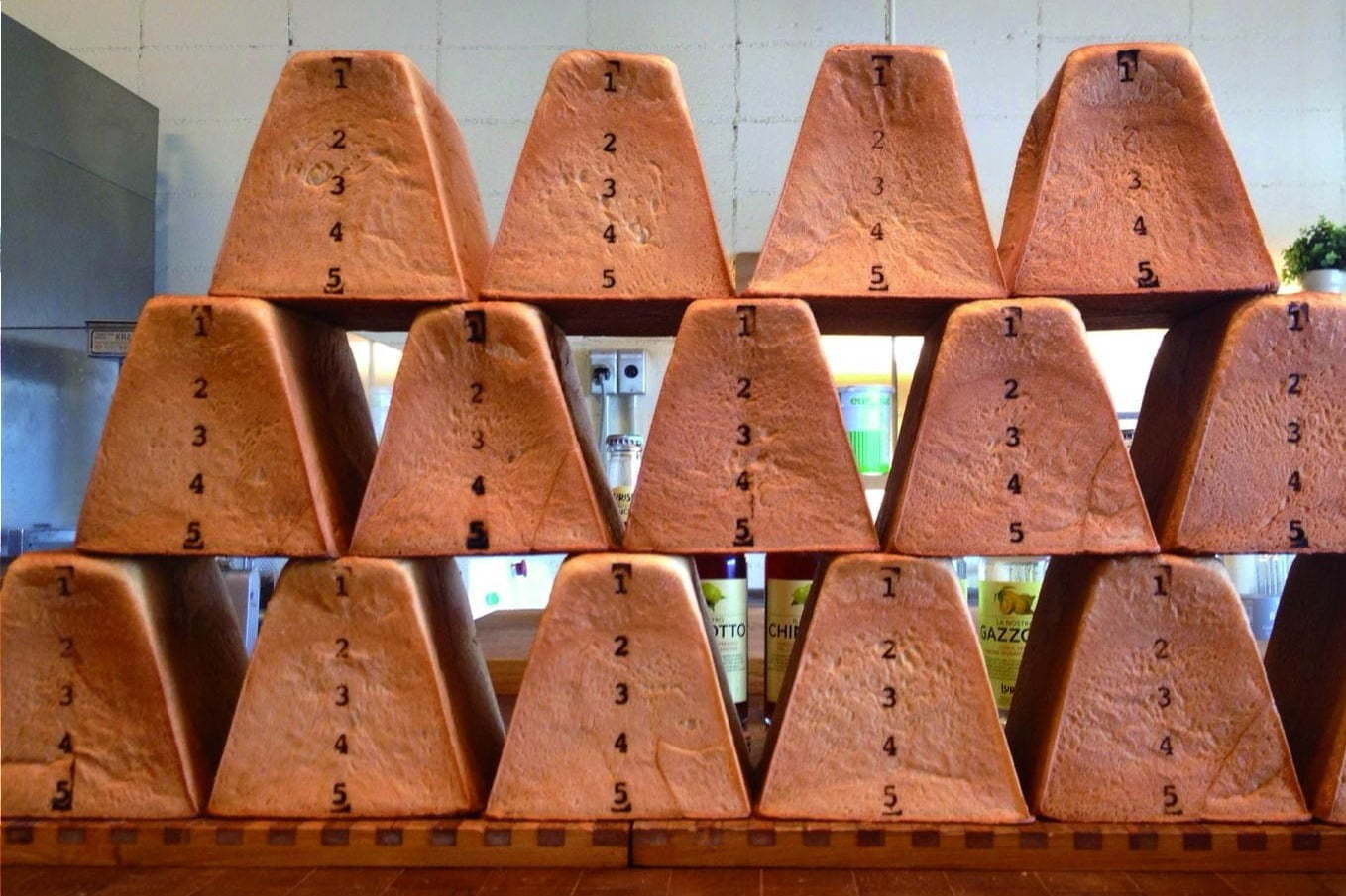 「パンタスティック!!」