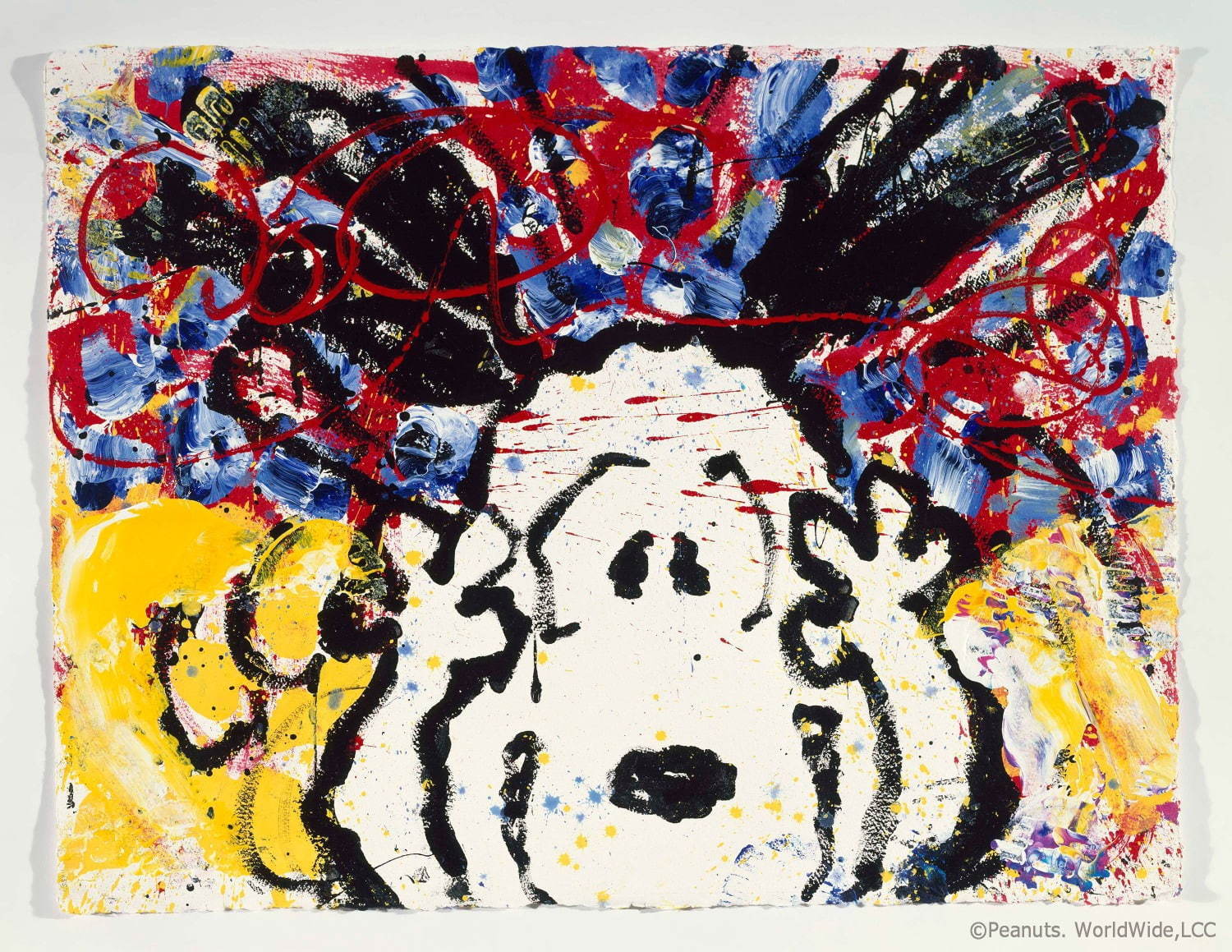 スヌーピーを世界で唯一自由に描ける画家「トム・エバハート」展示販売会が東京・福岡で開催｜写真2