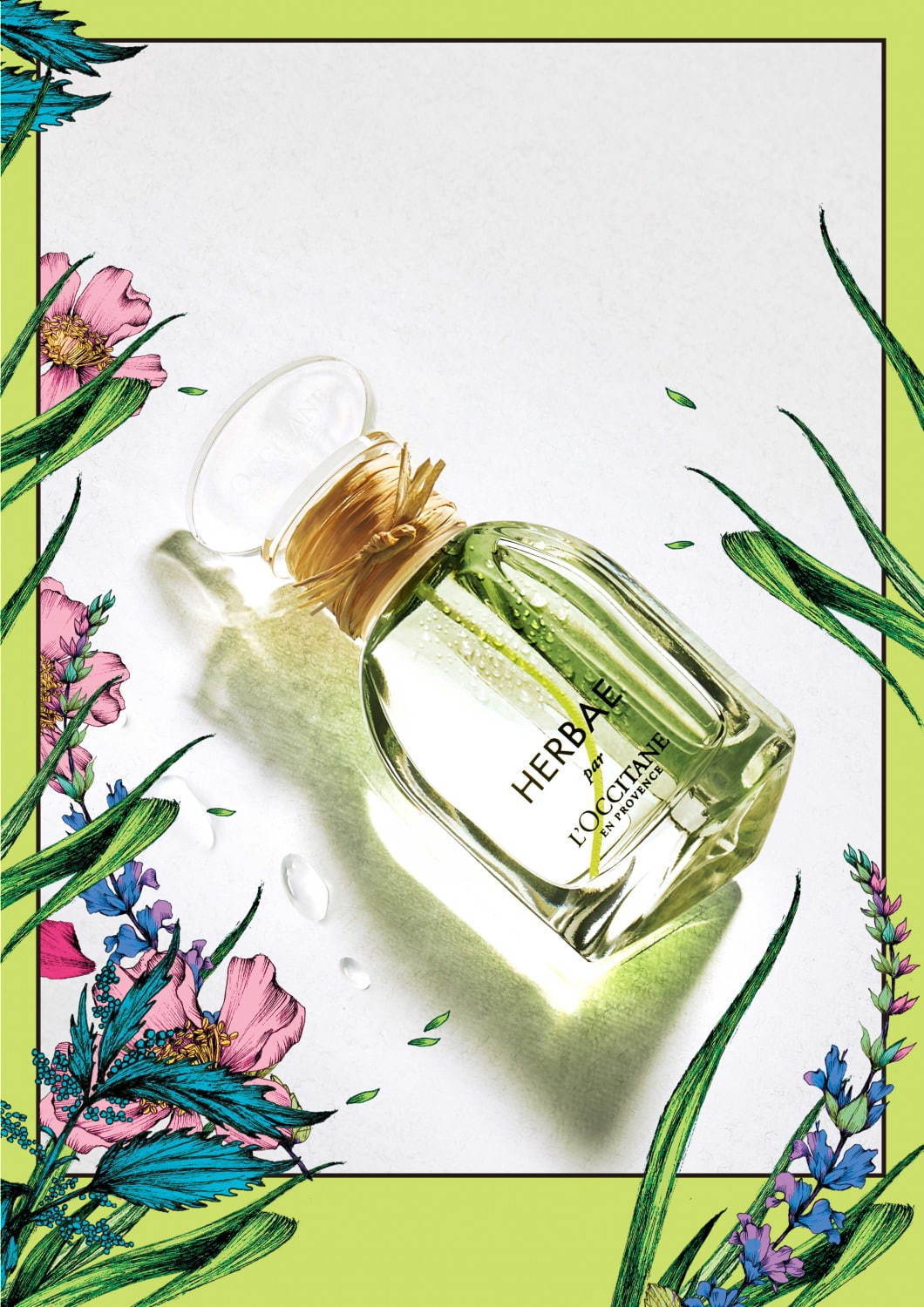 ロクシタン“緑豊かな草原”を想起させる「エルバヴェール」3つの緑のハーブが主役のボディケア＆香水 | 写真