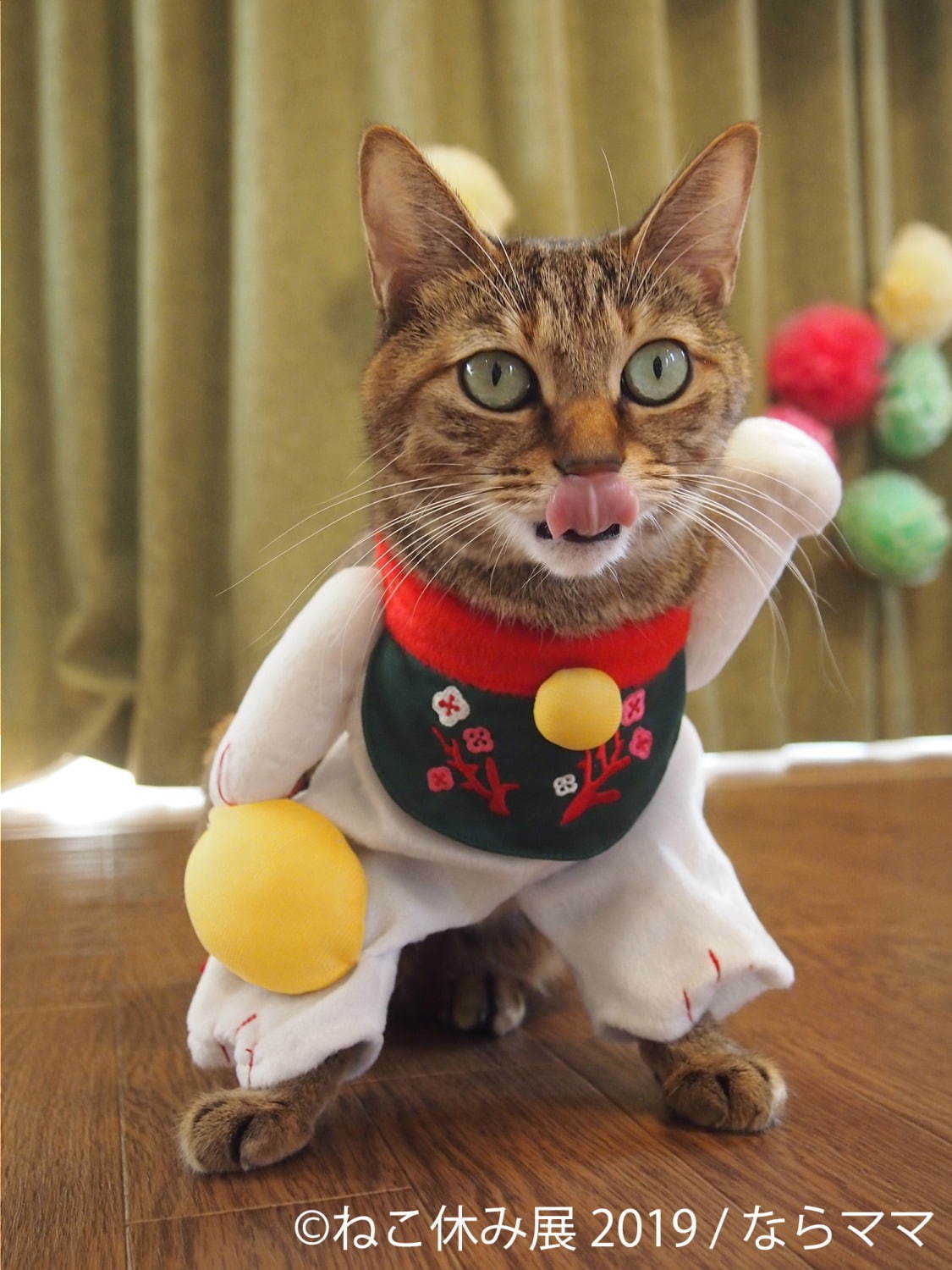 「ねこ休み展」静岡・広島を巡回、春をイメージした”スター猫”の新作展示や限定グッズなど｜写真11
