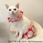 「ねこ休み展」静岡・広島を巡回、春をイメージした”スター猫”の新作展示や限定グッズなど｜写真6