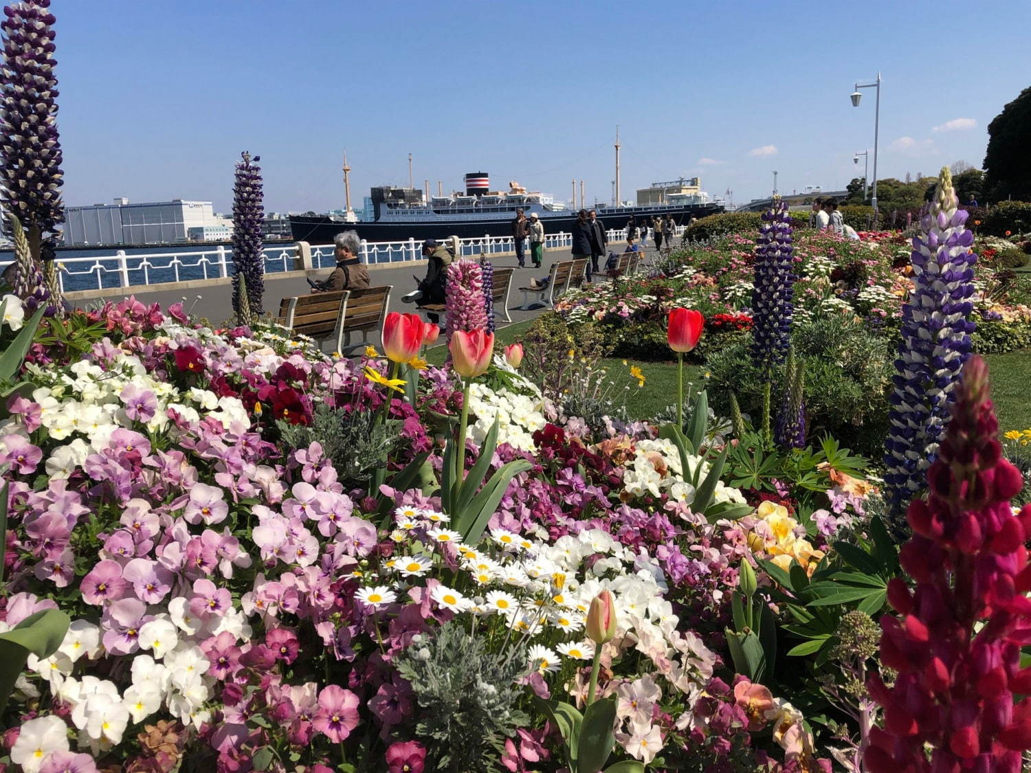 「ガーデンネックレス横浜 2019」開催、山下公園や里山公園にチューリップ＆桜が咲き誇る｜写真6