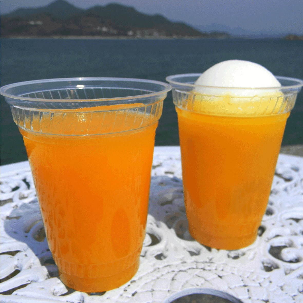 全国のご当地アイス＆世界のアイスが一堂に会す「アイスクリーム博覧会 2019」埼玉・越谷で開催｜写真13