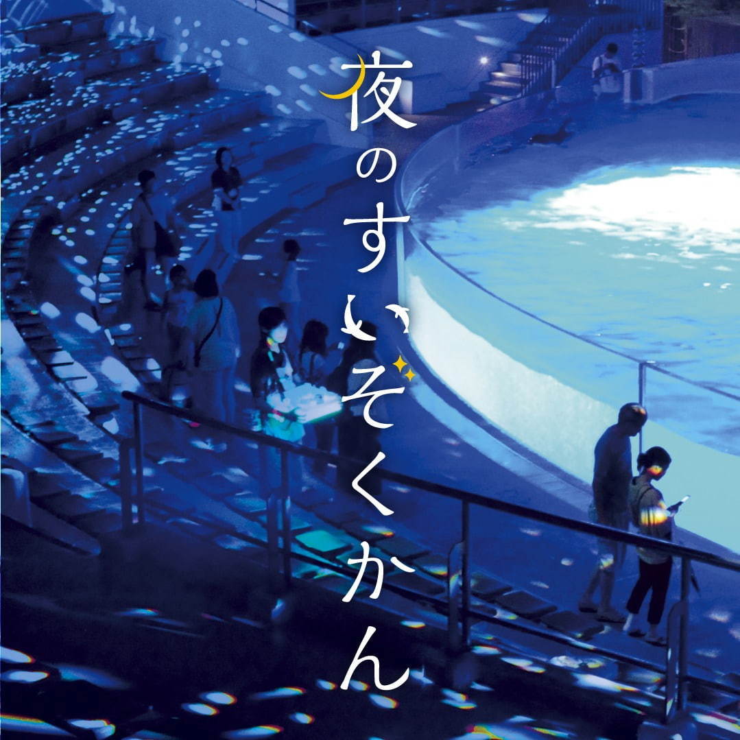 京都水族館「夜のすいぞくかん」すやすや眠るペンギン観察＆鮮やかなライトが彩る劇場型イルカショー｜写真11