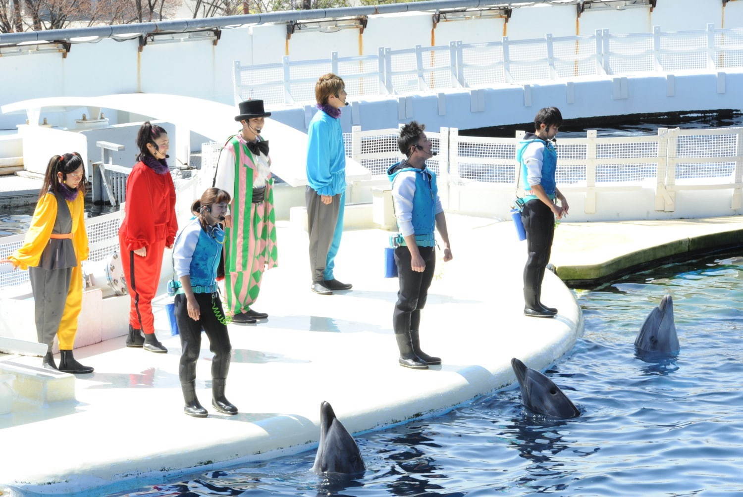 京都水族館「夜のすいぞくかん」すやすや眠るペンギン観察＆鮮やかなライトが彩る劇場型イルカショー｜写真8