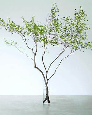 エムダブリュー(MW) 2019-20年秋冬ウィメンズコレクション  - 写真8