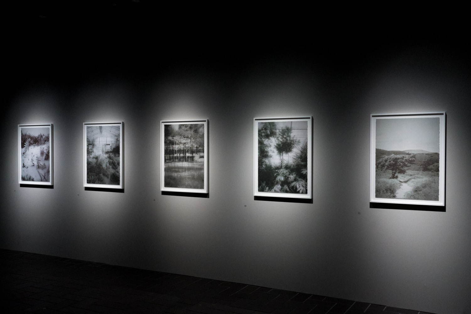 「伊庭靖子展 まなざしのあわい」東京都美術館で、眼とモチーフの“間”にある世界を表現した絵画など｜写真42