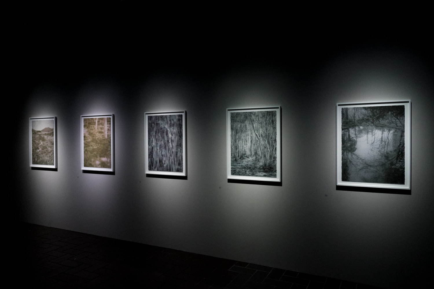 「伊庭靖子展 まなざしのあわい」東京都美術館で、眼とモチーフの“間”にある世界を表現した絵画など｜写真45