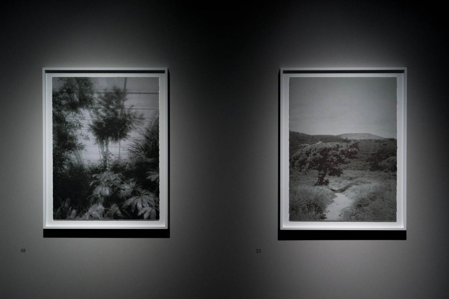 「伊庭靖子展 まなざしのあわい」東京都美術館で、眼とモチーフの“間”にある世界を表現した絵画など｜写真43