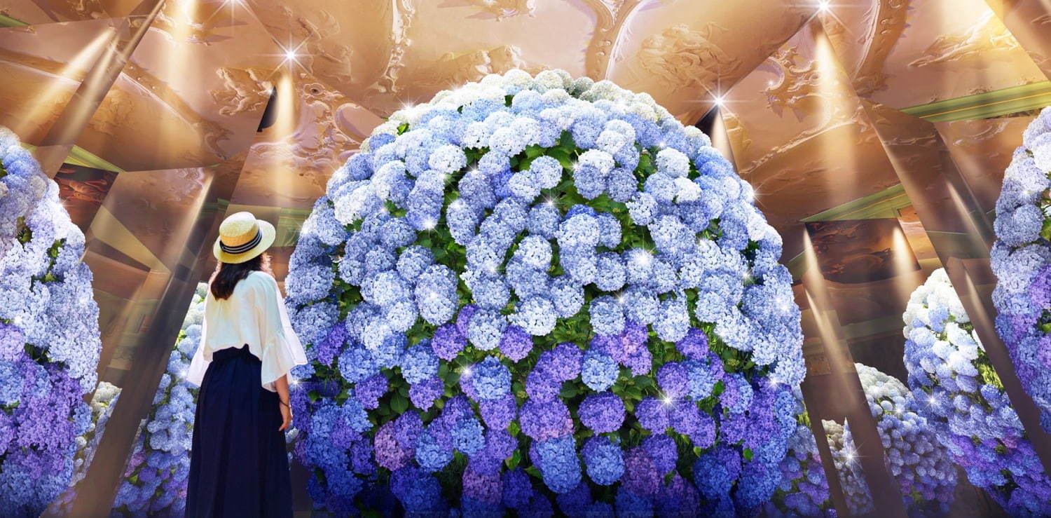 日本最多1,250種が咲く「あじさい祭」長崎ハウステンボスで、“万華鏡空間”で楽しむあじさいドーム｜写真7
