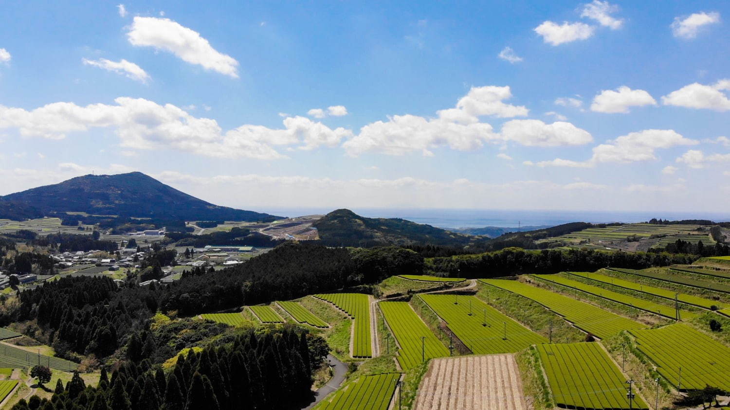 「お茶漬けスタンド 東京茶寮」期間限定で、茶葉をふりかけて食べる「お茶漬け」新茶使用のメニューも｜写真12