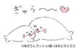 アザラシの合同写真＆イラスト展「あざらしラッシュ!!展」名古屋・静岡で、グッズ販売も｜写真20