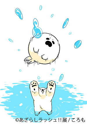 アザラシの合同写真＆イラスト展「あざらしラッシュ!!展」名古屋・静岡で、グッズ販売も｜写真9
