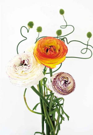 スナイデル(SNIDEL) 2019年春夏ウィメンズコレクション  - 写真33