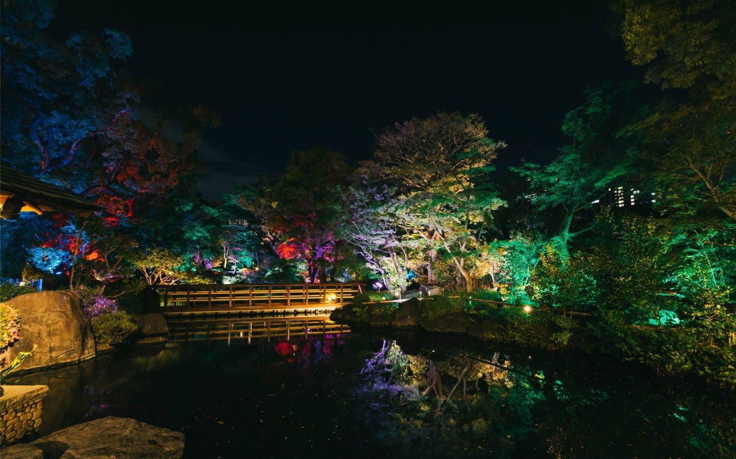 夏休み2019、旅行＆帰省におすすめイベント - 大阪・京都・神戸など【西日本編】｜写真4