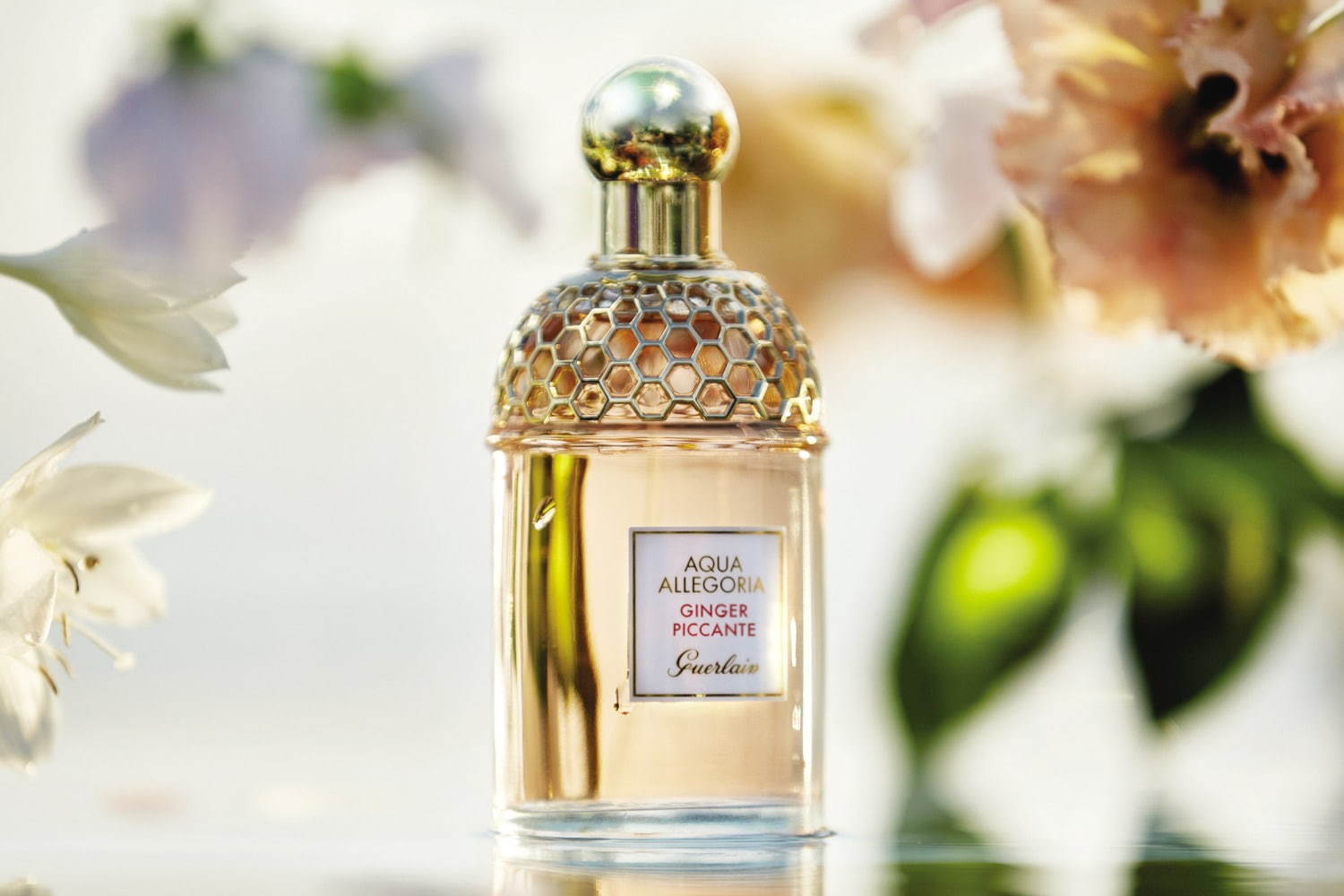 ゲラン(GUERLAIN) ジンジャーソルベ＆ココナッツジュース｜写真3