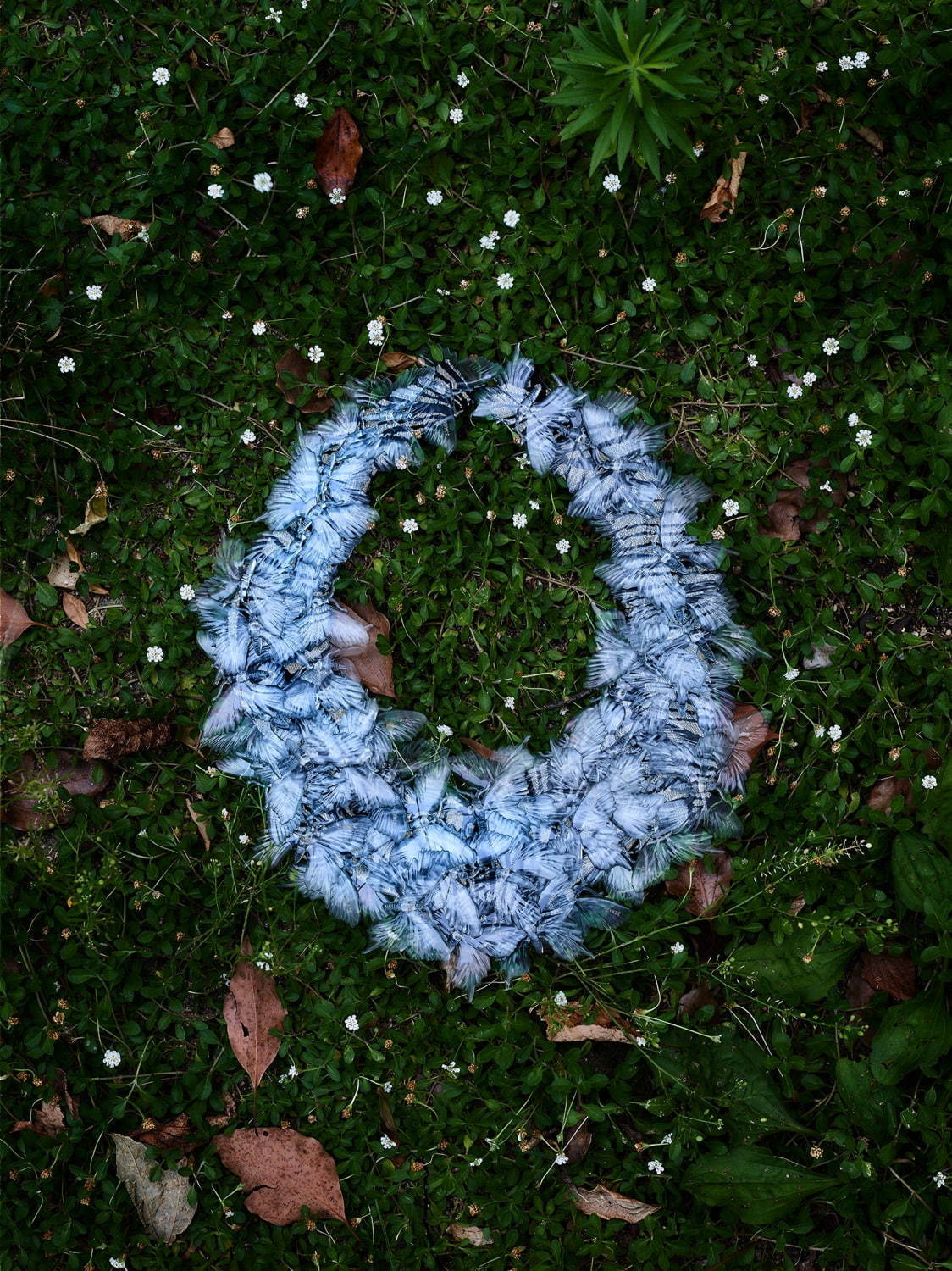 「ボタン」で作るアートジュエリー、自然の草花と組み合わせた作品をギンザシックスで展示販売｜写真2