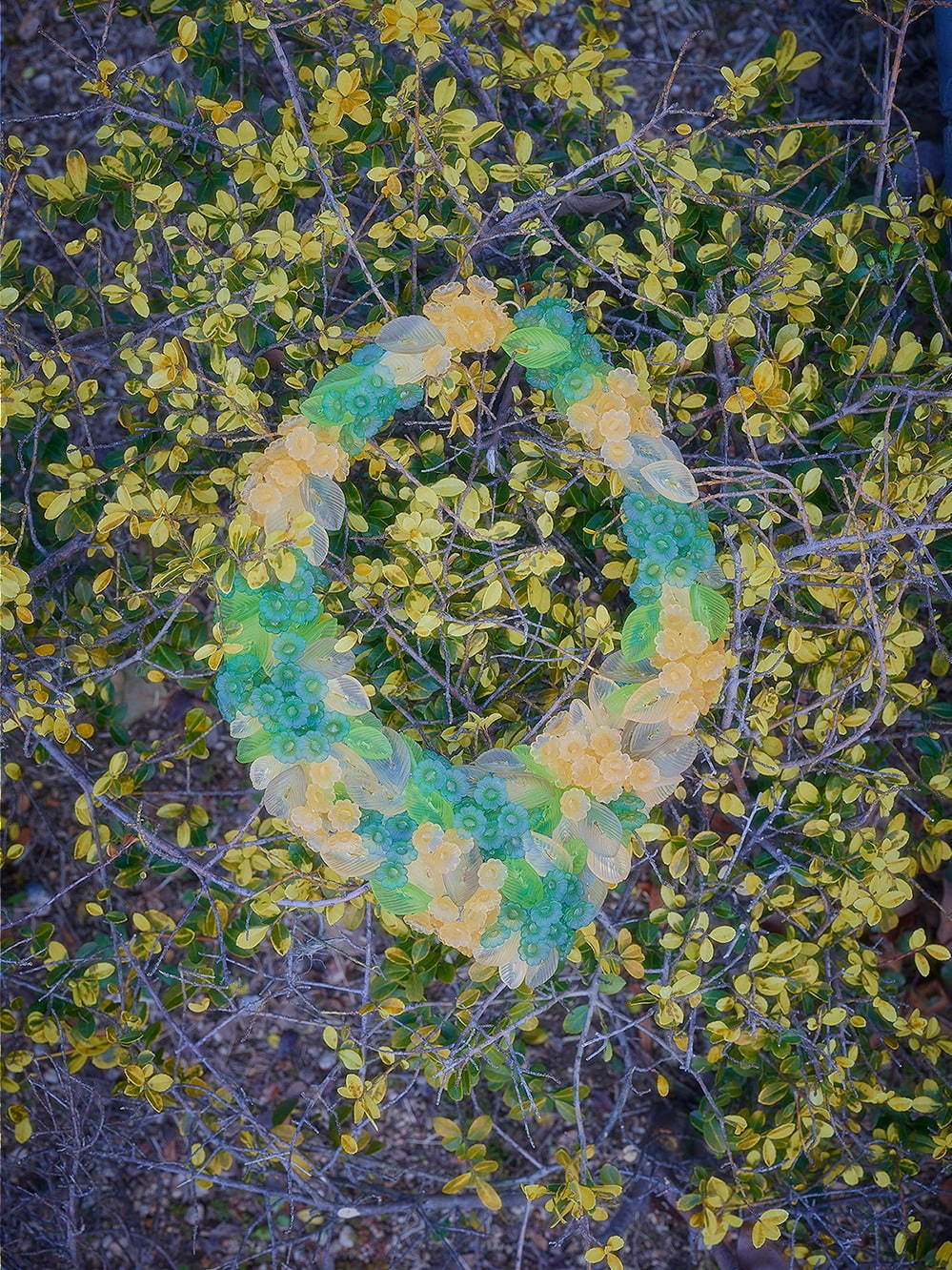 「ボタン」で作るアートジュエリー、自然の草花と組み合わせた作品をギンザシックスで展示販売｜写真3