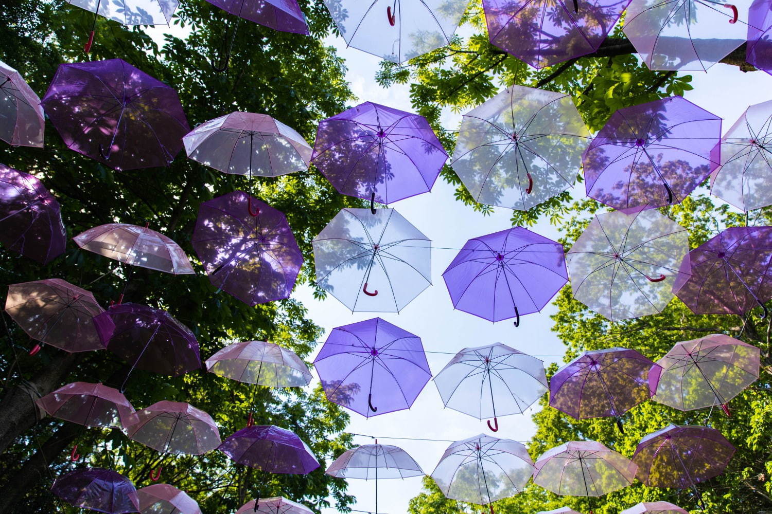 日本最大級“アンブレラスカイ”がメッツァビレッジに、マリメッコの鈴木マサルによるポップな傘アート｜写真3