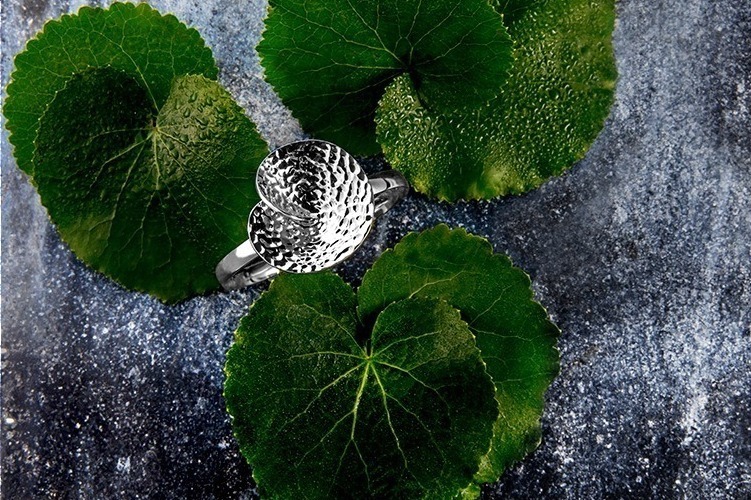 ナチュア & ニコライ バーグマン