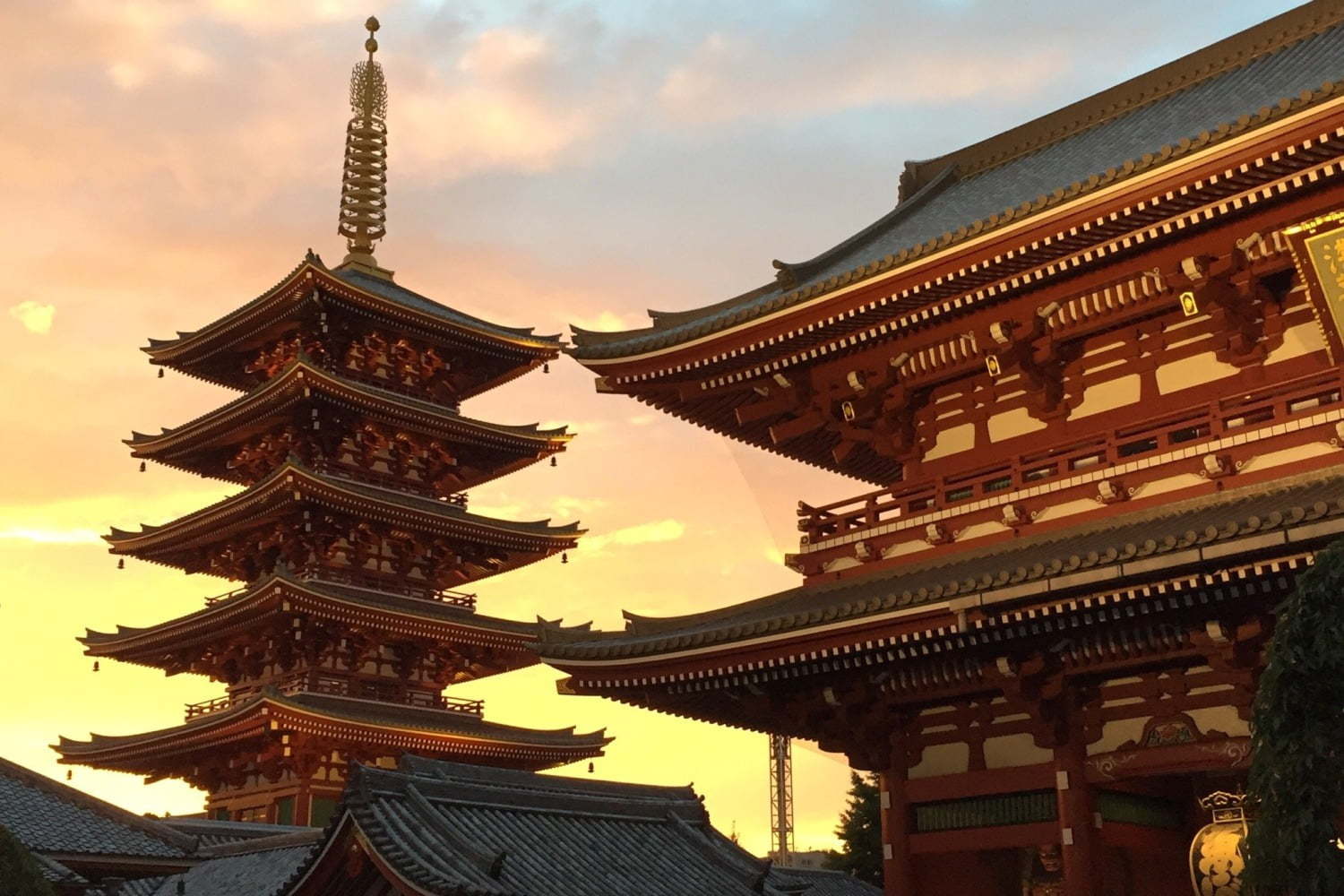 動物園｜上野・浅草周辺の観光スポット＆イベント情報 - 社寺、動物園、美術館など