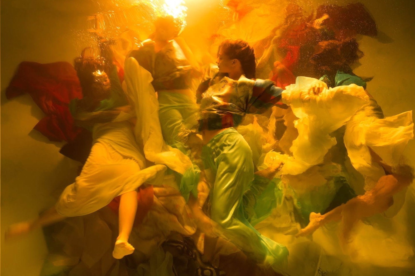 世界最大規模のフォトコンテスト受賞作品約250点、銀座ソニーパークに集結 - 日本限定の展示作品も