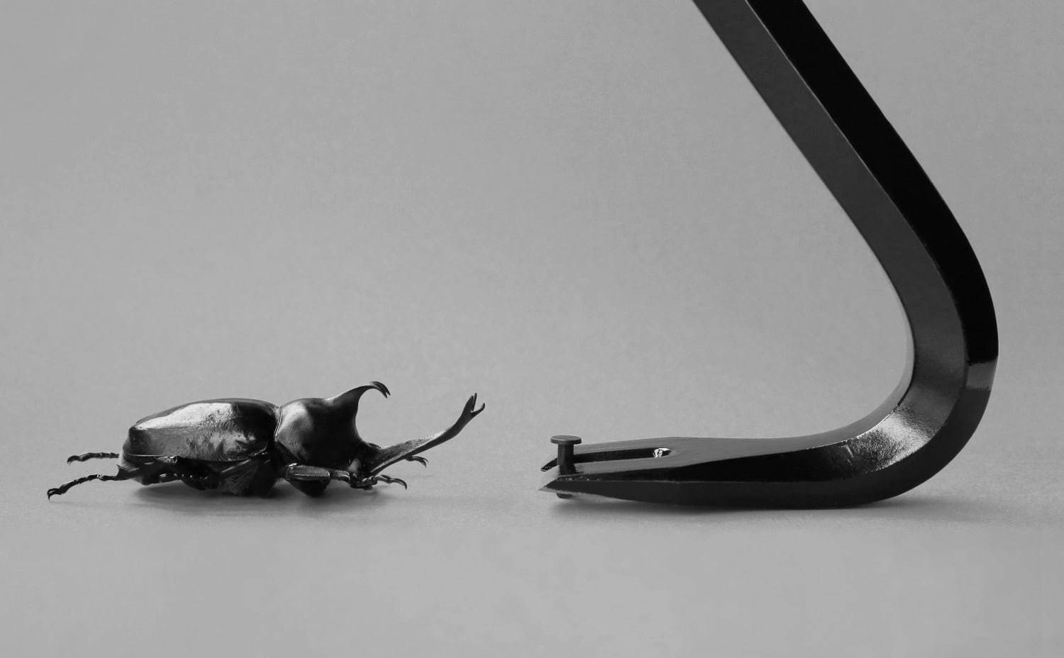 企画展「虫展」東京・赤坂で、虫を“デザインのお手本”とした幼虫の巣の建築作品など｜写真6