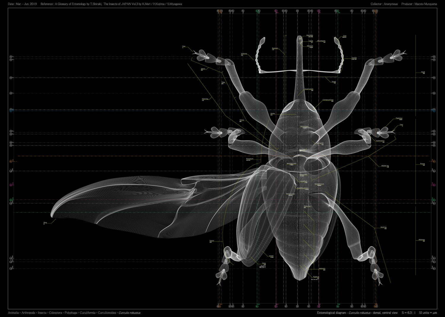 企画展「虫展」東京・赤坂で、虫を“デザインのお手本”とした幼虫の巣の建築作品など｜写真10