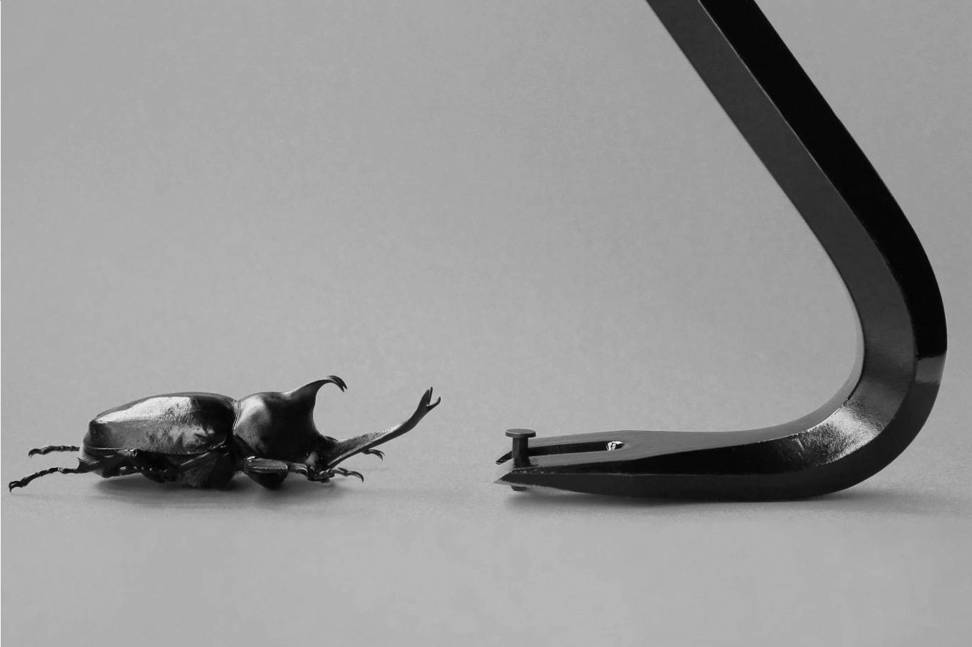 企画展「虫展」東京・赤坂で、虫を“デザインのお手本”とした幼虫の巣の建築作品など