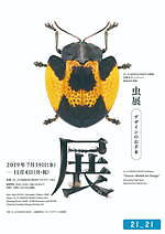 企画展「虫展」東京・赤坂で、虫を“デザインのお手本”とした幼虫の巣の建築作品など｜写真12