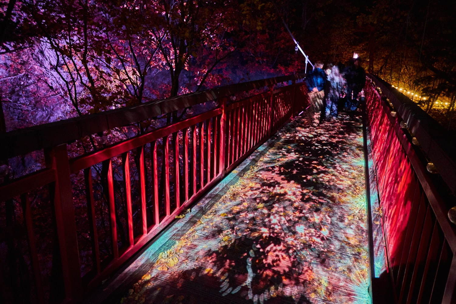 ネイキッド「定山渓ネイチャールミナリエ」札幌・定山渓で、光で演出した大自然のナイトパーク｜写真4